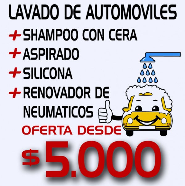 Lavado de Automoviles: Shampoo con cera, Aspirado, Silicona, Renovador de Neumáticos